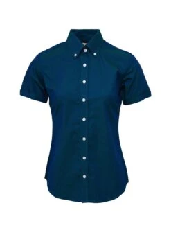 Ladies Tonic Two Tone Blue Shirt
